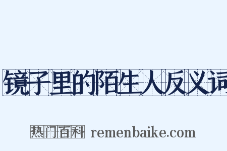 镜子里的陌生人反义词是什么意思的图片